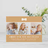 ホームフォーザホリデーズタンプレイドドッグフォト シーズンカード (スタンド正面)