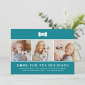 ホームフォーザホリデーズティール(緑がかった色)プレイドドッグ写真 シーズンカード (スタンド正面)