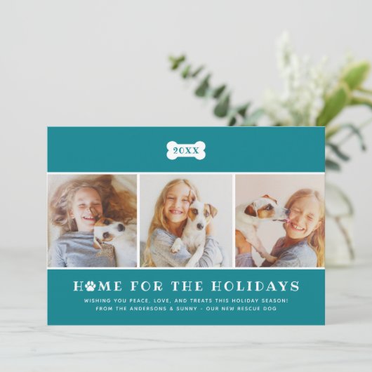 ホームフォーザホリデーズティール(緑がかった色)プレイドドッグ写真 シーズンカード (スタンド正面)