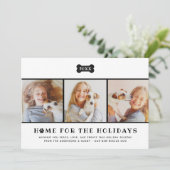 ホームフォーザホリデーズブラックプレイドッグ写真 シーズンカード (スタンド正面)