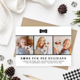 ホームフォーザホリデーズブラックプレイドッグ写真 シーズンカード