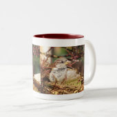 ホームフォーザホリデーズマグ ツートーンマグカップ (正面右)