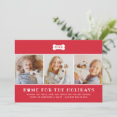 ホームフォーザホリデーズレッドプレイドドッグ写真 シーズンカード (スタンド正面)