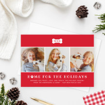 ホームフォーザホリデーズレッドプレイドドッグ写真