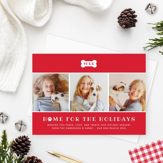 ホームフォーザホリデーズレッドプレイドドッグ写真 シーズンカード