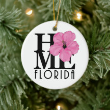 ホームフロリダピンクハイビスカス