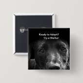 ホームレスのペット養子犬 缶バッジ (正面&裏面)