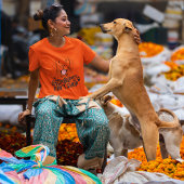 ホームレスの救助犬を買い物しない Tシャツ
