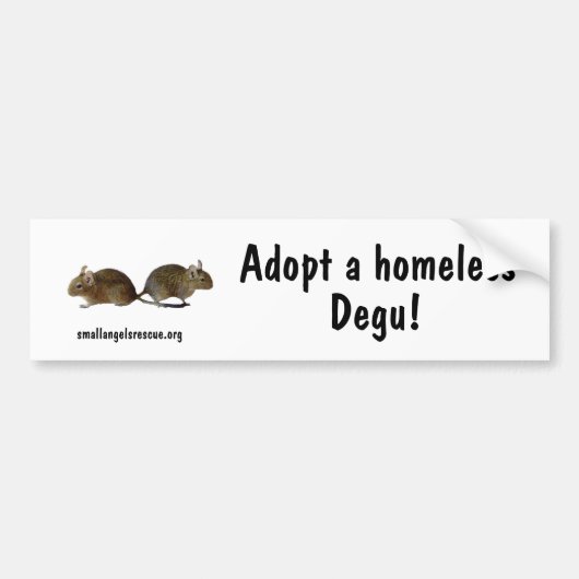 ホームレスのDeguを採用して下さい! バンパーステッカー (正面)