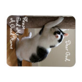 ホームレス猫の祈りの言葉- Magnet マグネット (横)