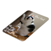 ホームレス猫の祈りの言葉- Magnet マグネット (左側)