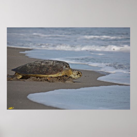 ホーム帰還II ポスター (正面)