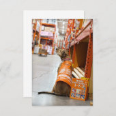 ホーム改善コスチュームブックおもしろい犬フォトカード サンキューカード (正面/裏面)