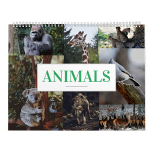 ホーム/オフィスウォールカレンダー動物カレンダー カレンダー