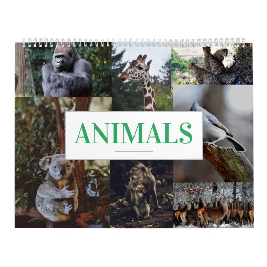 ホーム/オフィスウォールカレンダー動物カレンダー カレンダー (カバー)
