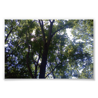 ホーム・オブ・小妖精や小人 フォトプリント           