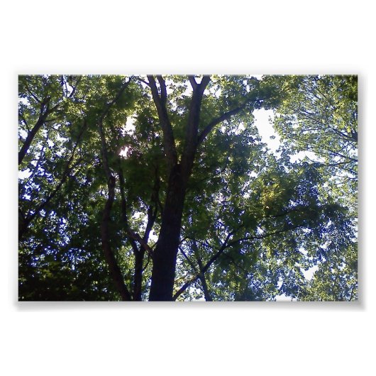 ホーム・オブ・小妖精や小人 フォトプリント            (正面)