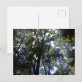 ホーム・オブ・小妖精や小人 ポストカード (正面/裏面)