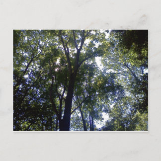 ホーム・オブ・小妖精や小人 ポストカード