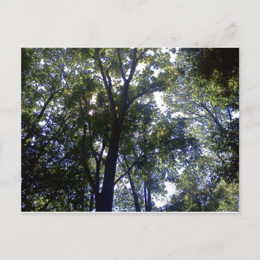 ホーム・オブ・小妖精や小人 ポストカード (正面)