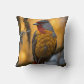 ホーム&リビング>ホームデコル>ピロー&ポーフ クッション (裏面)