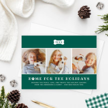 ホームfor the Holidaysグリーンプライド犬の写真