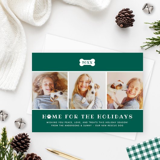 ホームfor the Holidaysグリーンプライド犬の写真 シーズンカード