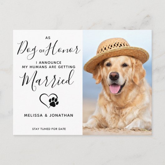 ホーモダンンペットの婚約の写真結婚犬 案内ポストカード (正面)