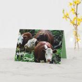ホーリーカウオーバーザヒル誕生日カード カード (黄色い花)