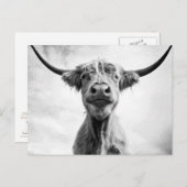 ホーリーカウメソティントスタイルアート写真L ポストカード (正面/裏面)