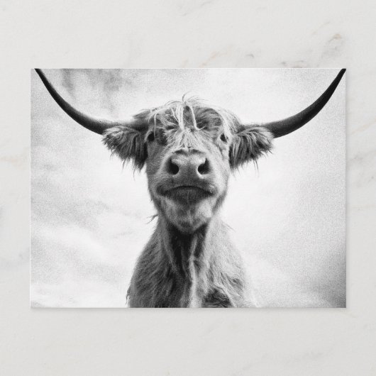 ホーリーカウメソティントスタイルアート写真L ポストカード (正面)