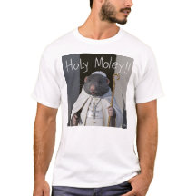 ホーリームーリー