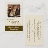 ホールターのリムーザンの雄牛 名刺 (正面/裏面)