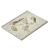 ホール（1831年）の天文図鵞鳥 ノートブック (左側)