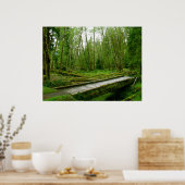 ホーレインフォレスト – オリンピック国立公園 ポスター (キッチン)