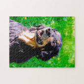 ホーワート犬。 ジグソーパズル (横)
