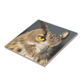 ホーンイーグルフクロウ写真 タイル (側面)