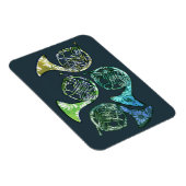 ホーンフランスのデイジーバンドクラス先生 マグネット (右側)