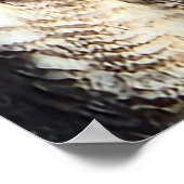 ホー威厳のあるル素晴らしフクロウ野生生物写真 ポスター (角)