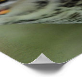 ホー威厳のあるン素晴らしフクロウ ポスター (角)