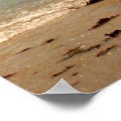 ホー学ビーのカタマランを出航する ポスター (角)