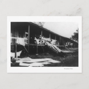 ホー日本のムズインハワイ写真 ポストカード