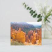 ホー白熱［赤熱］光を放つドス ポストカード (スタンド正面)