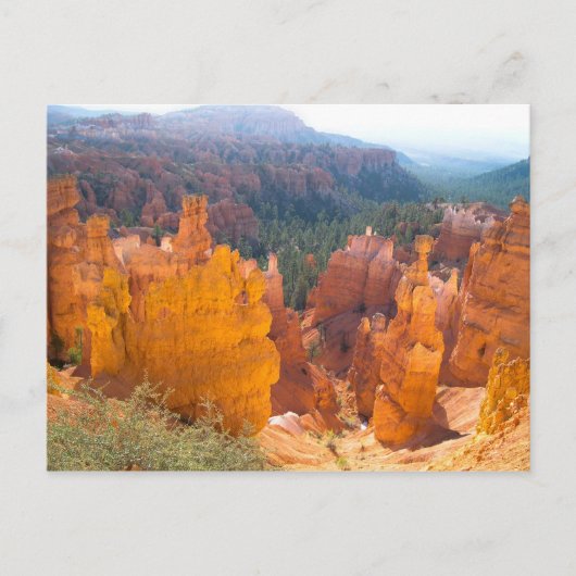 ホー白熱［赤熱］光を放つドス ポストカード (正面)