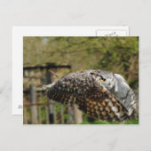 ホー素晴らしンフウ飛んでいるル ポストカード (正面/裏面)