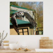 ホー素晴らしンフクロウ黄色い目2 ポスター (キッチン)