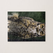 ホー素晴らしンフクロウ(Bubo virginianus)、フル体 ジグソーパズル (横)