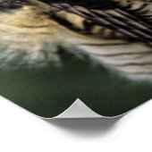 ホー素晴らしンフクロウ(Bubo virginianus)、フル体 ポスター (角)