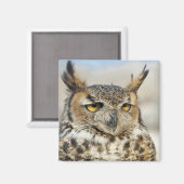 ホー素晴らしンフクロウ(Bubo virginianus)、捕虜 マグネット (正面/裏面)