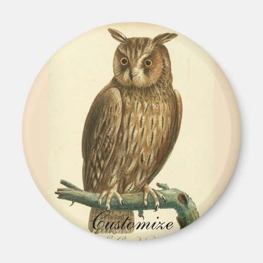 ホー素晴らしンフクロサンダー_コーブ マグネット (正面)